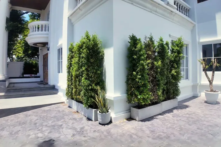 หลังรีโนเวท · มุมข้างบ้าน
